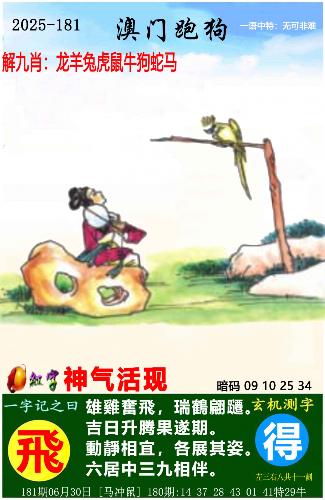 澳门跑狗