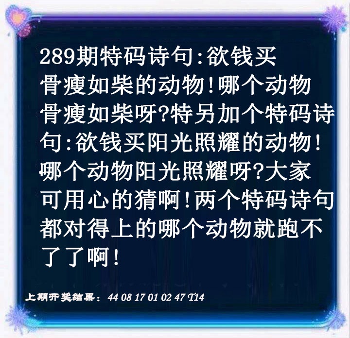特码诗句